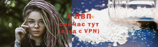 крисы Армянск