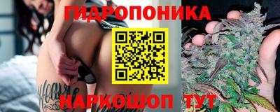 индика Ипатово