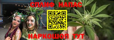 индика Ипатово