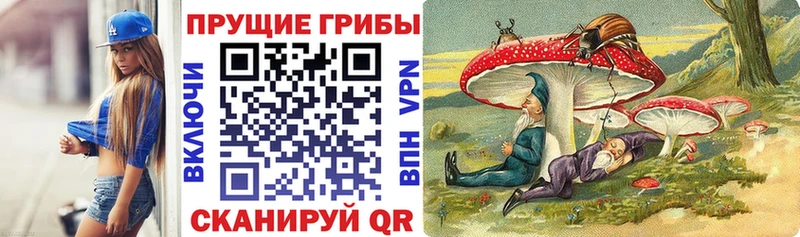 Галлюциногенные грибы Psilocybine cubensis  где найти наркотики  Михайловск 