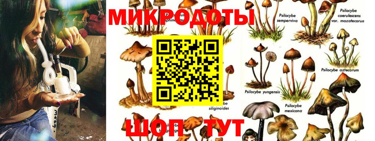 Псилоцибиновые грибы прущие грибы Михайловск
