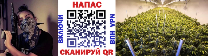 Каннабис конопля  Михайловск 